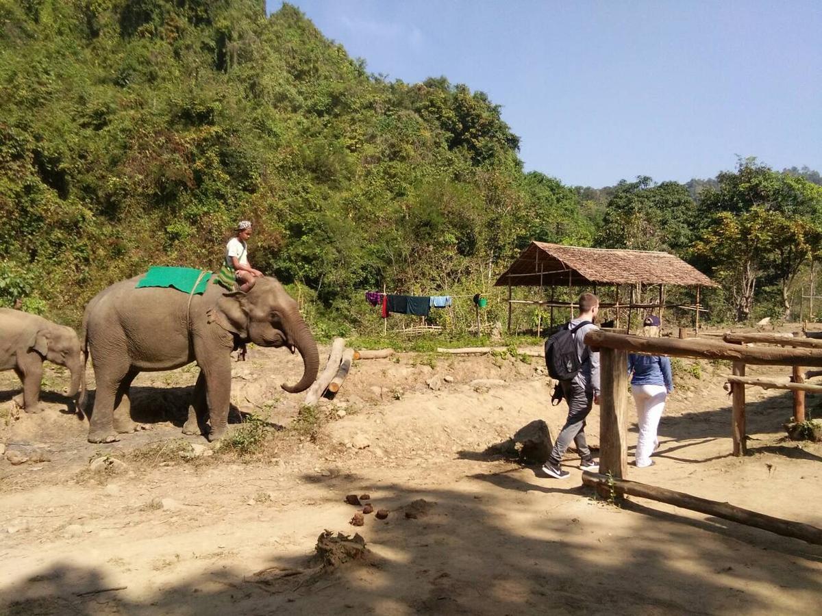 Ngapali Elephant Campground Exterior foto